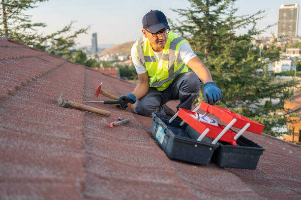 Best Insulated Siding Installation  in Shaker Heights, OH